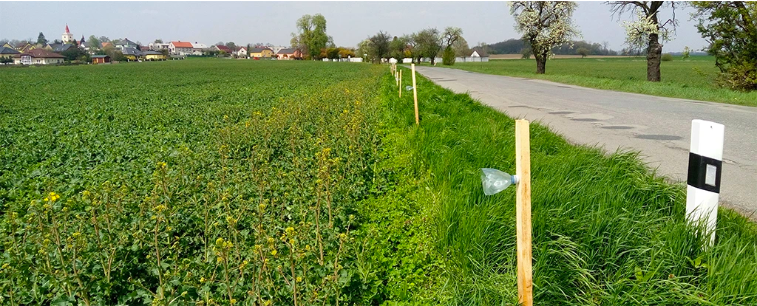 Snímka obrazovky 2025-07-10 o 12.00.59